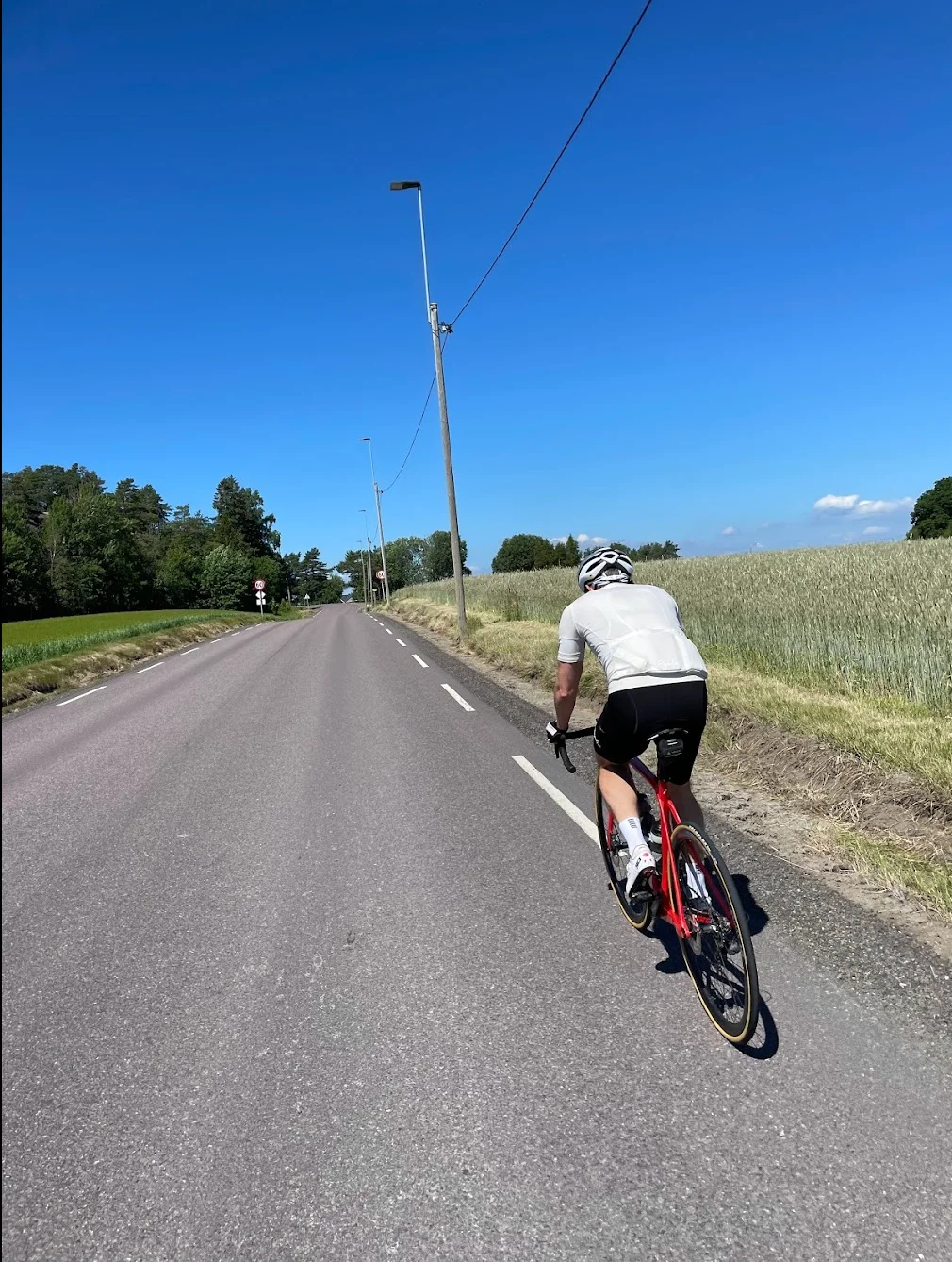 Vestfold